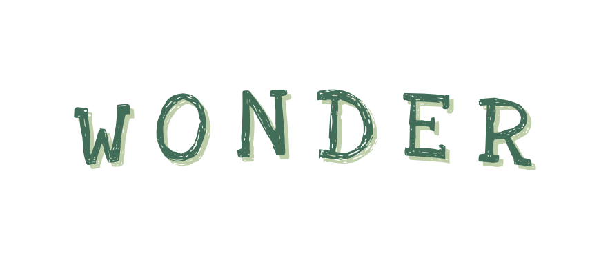 WONDER